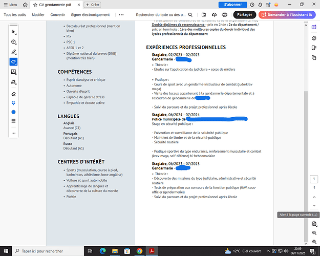 Capture d’écran (173)